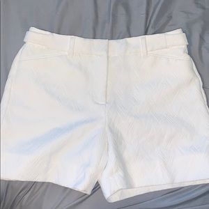 White House Black Market White Shorts
